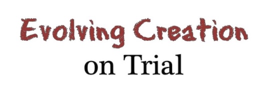 Evolving Creation on Trial